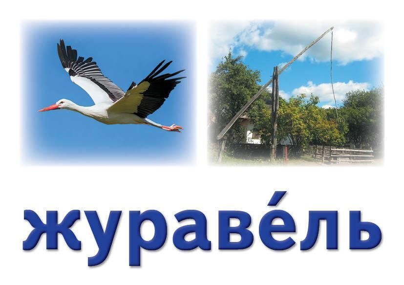 Українська мова. Картки на магнітах. Слово як одиниця мовлення 9789667495145 фото