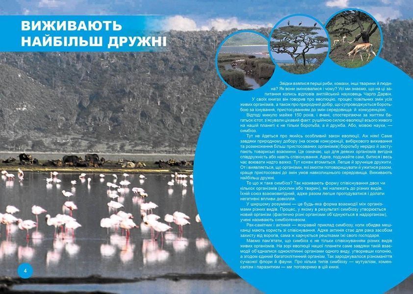 Енциклопедія "Хто з ким дружить, або дивовижі симбіозу" Талант Тверда Обкладинка Автор Василь Клімок 9789669890467 фото