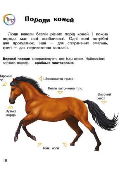 Енциклопедія дошкільника : Коні С614037У 9786170977816 Автор Каспарова Ю.В. 9786170977816 фото