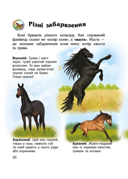 Енциклопедія дошкільника : Коні С614037У 9786170977816 Автор Каспарова Ю.В. 9786170977816 фото
