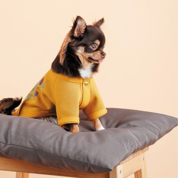 Кардиган Pet Fashion Denis жовтий S 4823082434640 4823082434640 фото