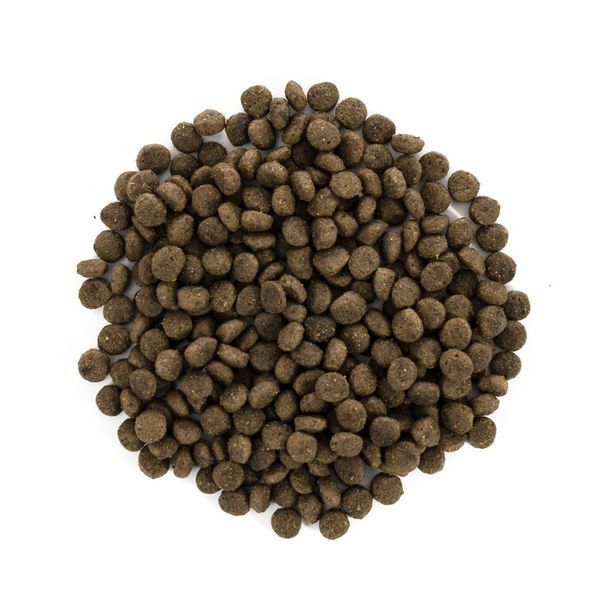 Корм сухий Brit Care Grain Free Mini Light and Sterilised для дорослих собак дрібних порід з зайвою вагою чи стерилізованих 8595602521067 170785/1067 фото