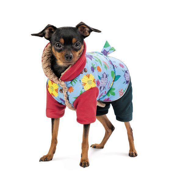 Костюм дівчинка Alisa M для собак 4823082437559 4823082437559 фото