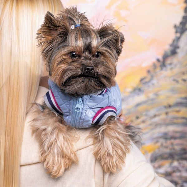 Бомбер Pet Fashion Spike для собак L 4823082430192 4823082430192 фото