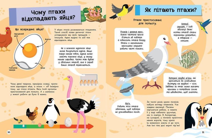 Книга "Велика енциклопедія для чомусика" Тверда Обкладинка Автор Булгакова Ганна 9786170976307 фото