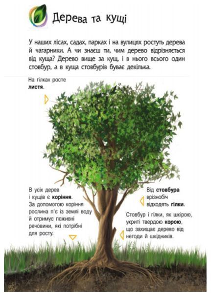 Енциклопедія дошкільника : Природа С614008У 9786170928313 Автор Каспарова Ю.В. 9786170928313 фото