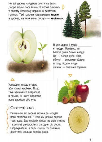 Енциклопедія дошкільника : Природа С614008У 9786170928313 Автор Каспарова Ю.В. 9786170928313 фото