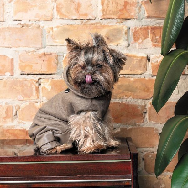 Костюм Pet Fashion PF Style для собак XS 4823082427970 4823082427970 фото