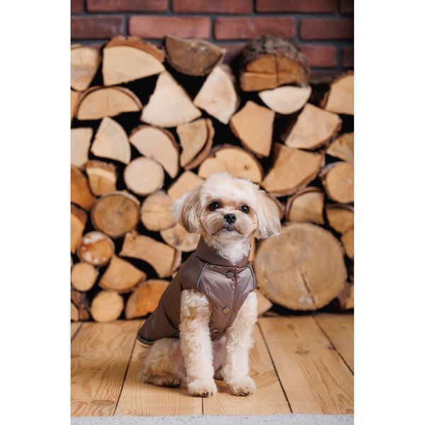 Жилет Pet Fashion Hardy для собак утеплений водонепроникний з отвором для повідця бежевий розмір M2 4823082437467 4823082437467 фото