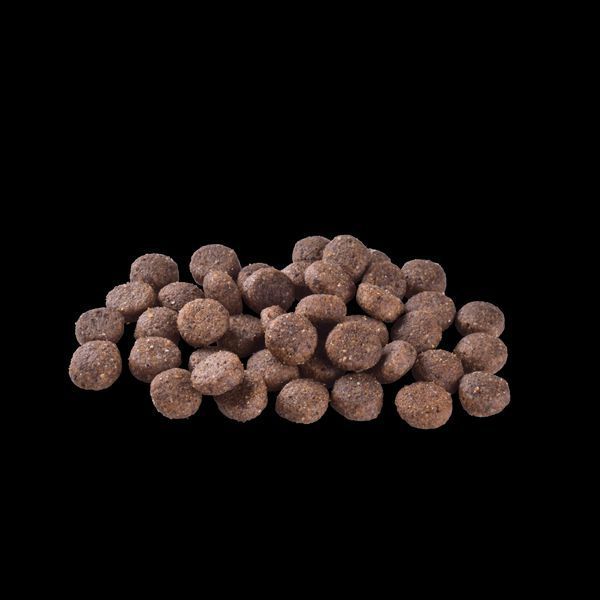 Корм сухий Brit Care Dog Grain-free Adult для дорослих собак малих і середніх порід беззерновий з лососем 3 кг 8595602558841 8595602558841 фото
