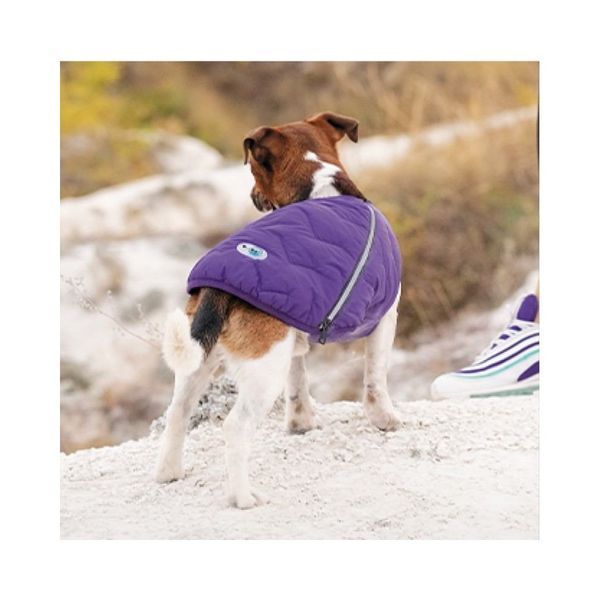 Жилет Pet Fashion E.Vest для собак фіолетовий М 4823082424238 4823082424238 фото