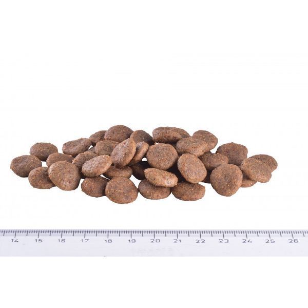 Корм сухий Brit Grain Free VetDiet Dog Renal для собак з нирковою недостатностью з яйцем горохом та гречкою 2 кг 8595602528196 170949/8196 фото