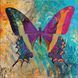 Полотно на картоні з контуром, &bdquo;Butterfly 2&ldquo;, 30х30, бавовна, акрил, ROSA START GPA284323 4823098524595 4823098524595 фото 1