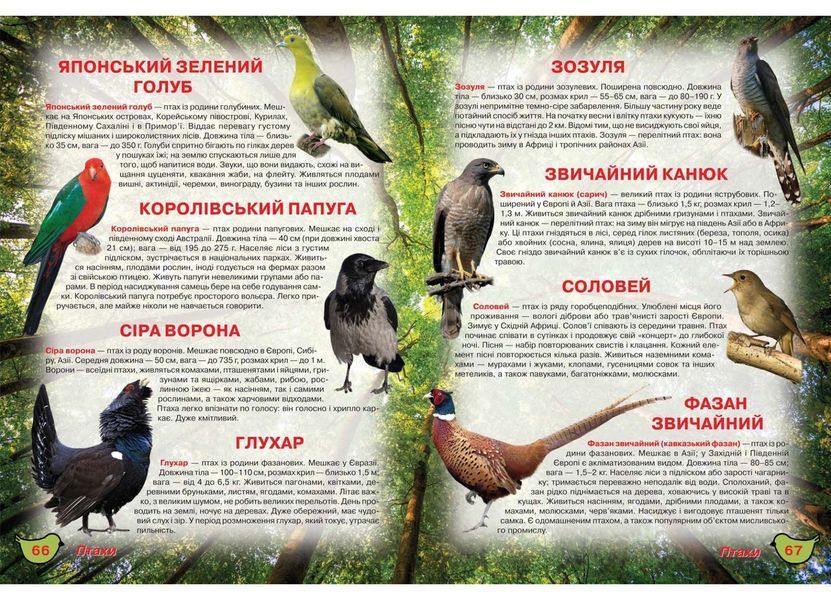Ілюстрований атлас живої природи (Crystal Book) F00014008 фото