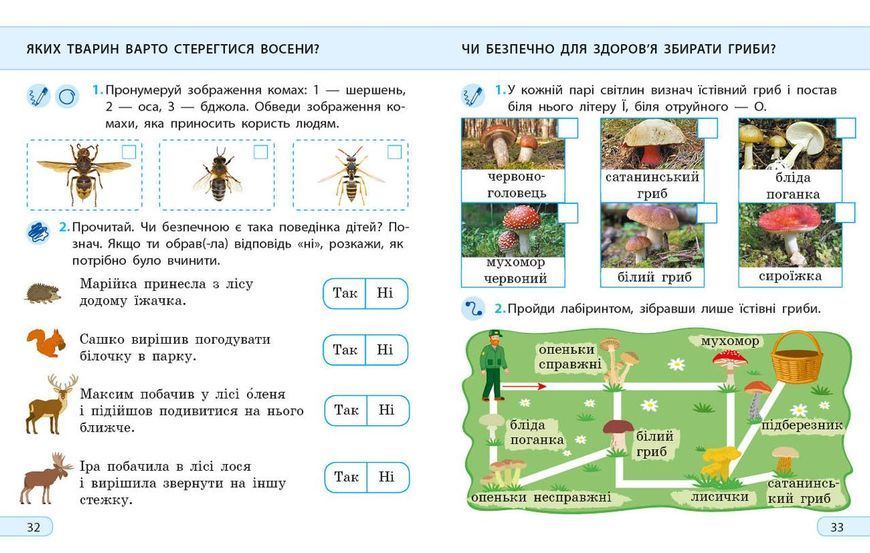 Книга Я досліджую світ. 2 клас. Робочий зошит до підручника І. Грущинської. ч. 1 Ранок Автор - А.О. Пуляєва И812018УН 9786170974037 фото