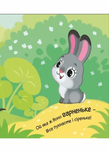 Мій любий малюк : Моє любе ведмежатко. Автор Пуляєва А. А1707003У 9789667511678 9789667511678 фото
