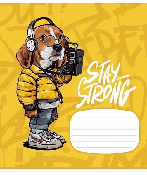 Набір 5 шт учнівських зошитів Stey Strong. Зошит Школярик 12 арк. у клітинку 3308 012-3308K 4820006472511 4820006472511_6 фото