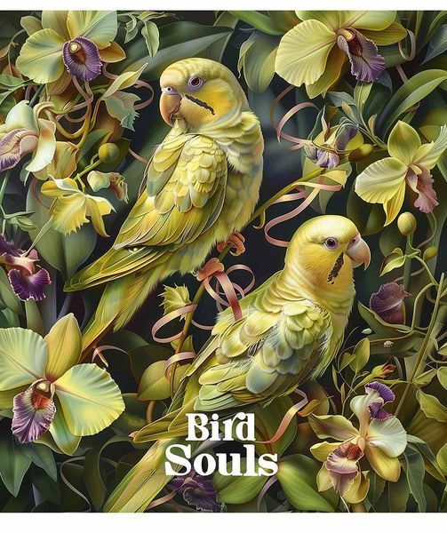 Комплект 5 шт загальних зошитів Bird Souls. Зошит Школярик 96 арк. у клітинку 3457 4820006471385 4820006471385_096-3457K фото