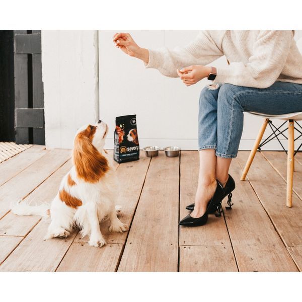 Корм сухий Savory Puppy rich in Fresh Turkey and Chicken для цуценят всіх порід зі свіжою індичкою і куркою 1 кг 4820232630815 4820232630815 фото