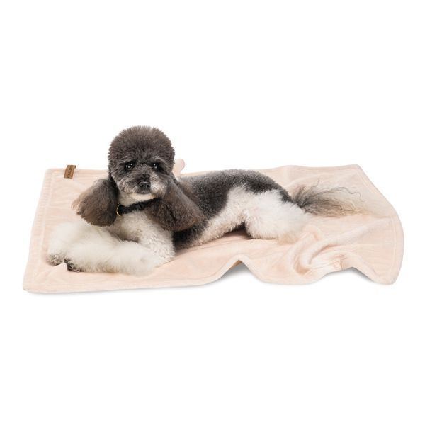 Плед Pet Fashion Bliss 2 для собак і котів плюш пудра 68х114.6 см 4823082441358 4823082441358 фото
