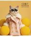 Комплект 5 шт загальних зошитів Fashion chic. Зошит Школярик 36 арк. у лінію 3458 4823088231298 4823088231298_036-3458L фото 5