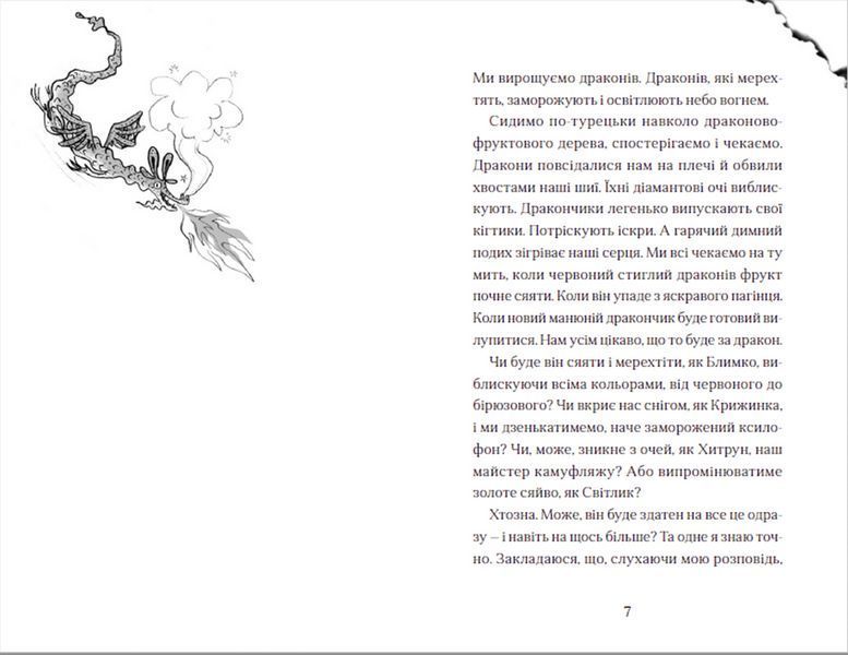 Книга Хлопчик, який літав з драконами. Книга 3. Автор - Енді Шепард (ВСЛ) 9789664480991 фото