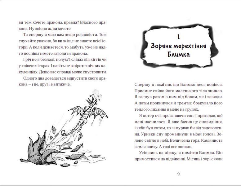 Книга Хлопчик, який літав з драконами. Книга 3. Автор - Енді Шепард (ВСЛ) 9789664480991 фото