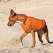 Жилет Pet Fashion E.Vest для собак помаранчевий S 4823082424290 4823082424290 фото 3