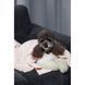 Плед Pet Fashion Bliss 2 для собак і котів плюш пудра 68х114.6 см 4823082441358 4823082441358 фото 10