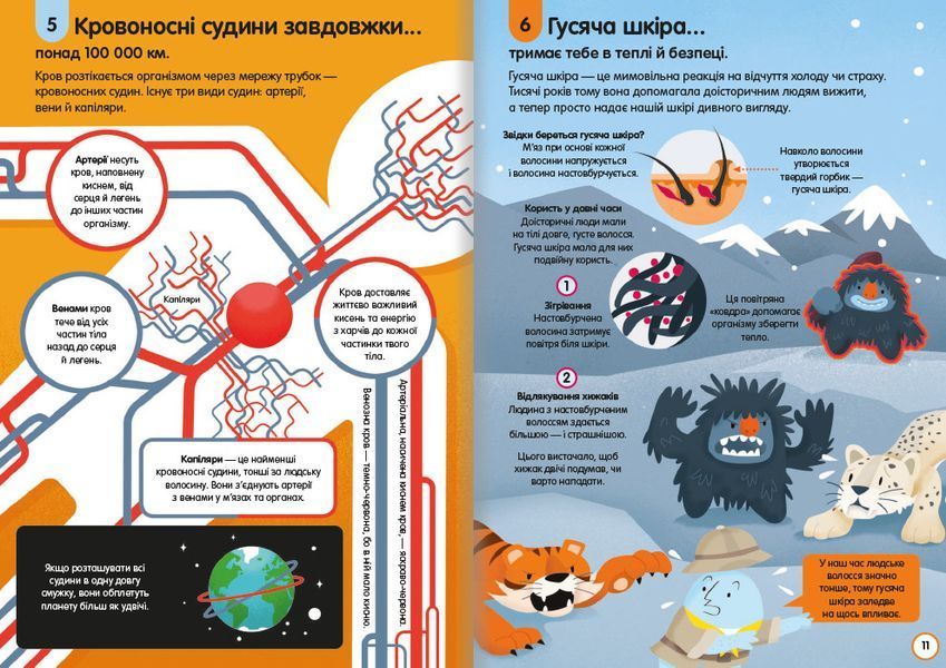100 фактів про людське тіло. ТВЕРДА ОБКЛАДИНКА! Автор Алекс Фріт, Мінна Лейсі, Джонатан Мелмот і Меттью Олдгем 9786178012090 фото