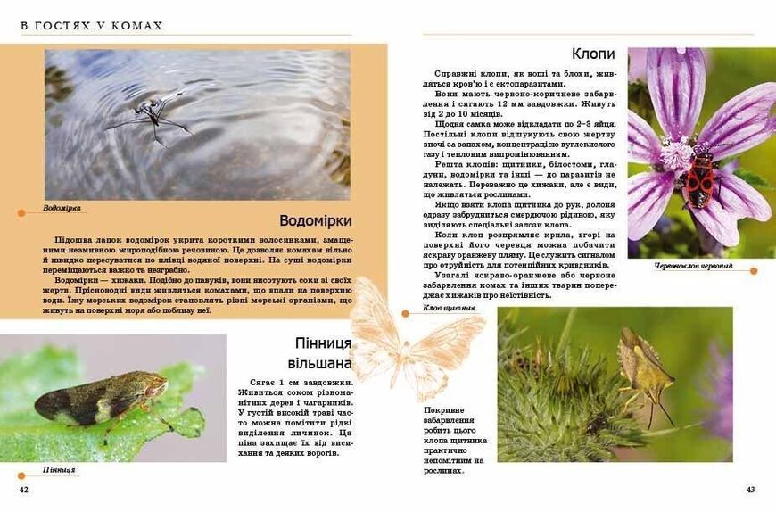Енциклопедія "Комахи та інші" Талант Тверда Обкладинка Автор Тетяна Жабська 9789669352385 фото