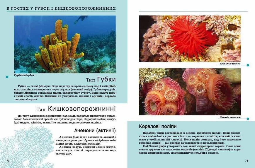 Енциклопедія "Комахи та інші" Талант Тверда Обкладинка Автор Тетяна Жабська 9789669352385 фото