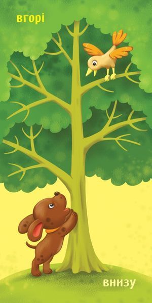 Книжка-картонка "Протилежності" 3+ 9789667512750 фото