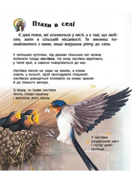 Енциклопедія дошкільника : Птахи С614032У 9786170969149 Автор Каспарова Ю.В. 9786170969149 фото