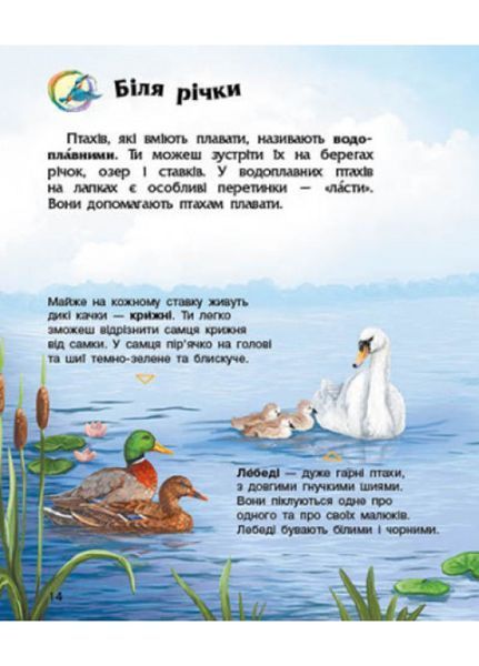 Енциклопедія дошкільника : Птахи С614032У 9786170969149 Автор Каспарова Ю.В. 9786170969149 фото
