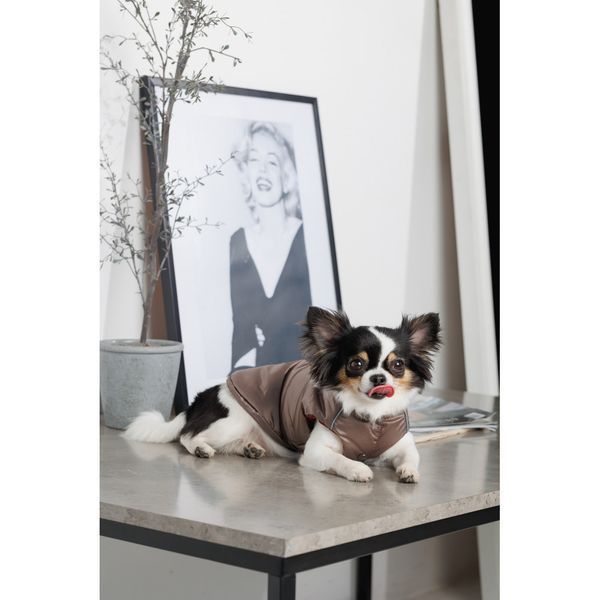 Жилет Pet Fashion Hardy для собак утеплений водонепроникний з отвором для повідця бежевий розмір M 4823082437498 4823082437498 фото