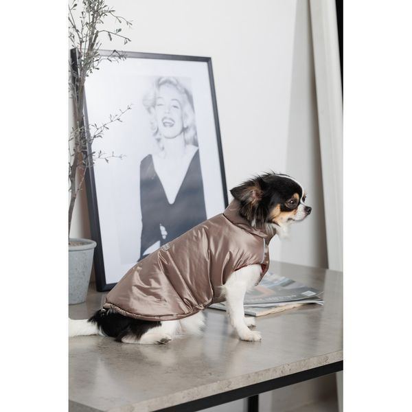 Жилет Pet Fashion Hardy для собак утеплений водонепроникний з отвором для повідця бежевий розмір M 4823082437498 4823082437498 фото