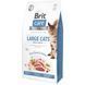 Корм сухий Brit Care Cat Grain Free Large Power Vitality для дорослих котів великих порід з качкою та куркою 7 кг 171309/0907 фото 1