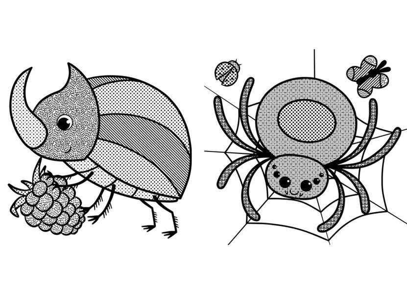 Водяні розмальовки із секретом. Павучок (Crystal Book) F00027529 фото