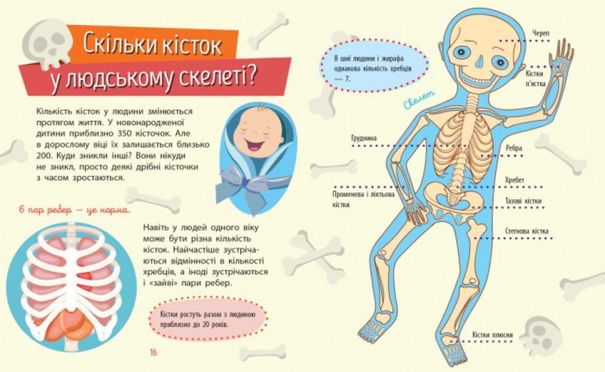 Книга "Чомусики. Людина" Автор Булгакова Ганна 295952 фото