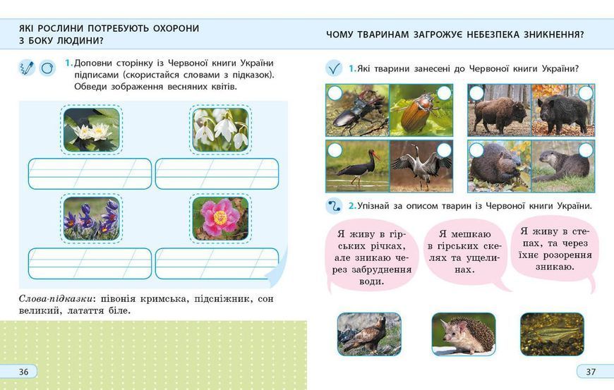 Книга Я досліджую світ. 2 клас. Робочий зошит до підручника І. Грущинської. ч. 2 Ранок Автор - А.О. Пуляєва 9786170974044 9786170974044 фото