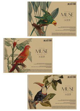 Альбом для малювання 3 шт. MUSE. Альбом Школярик 30 арк. А4 PB-SC-030-318 4823088235357 4823088235357 фото