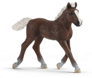 Іграшка фігурка Schleich Шварцвальдське лоша (6688020) 4059433039589 4059433039589 фото