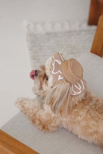 Панама Pet Fashion Print для собак М 4823082446094 PR244609 фото