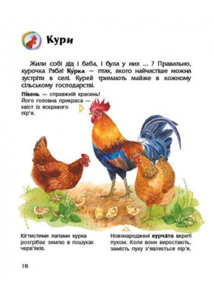 Енциклопедія дошкільника : Свійські тварини С614029У 978-617-09-6911-8 Автор Каспарова Ю.В. 9786170969118 фото