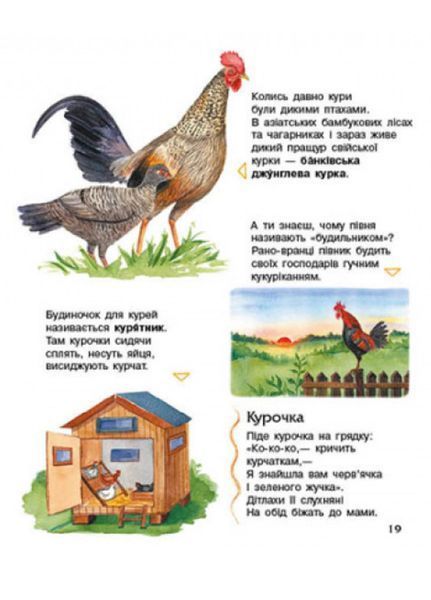 Енциклопедія дошкільника : Свійські тварини С614029У 978-617-09-6911-8 Автор Каспарова Ю.В. 9786170969118 фото