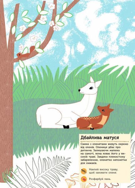 Моя книга природи : Тварини лісу. Автор Олівія Косно. С849008У 9786170941046 289987 фото