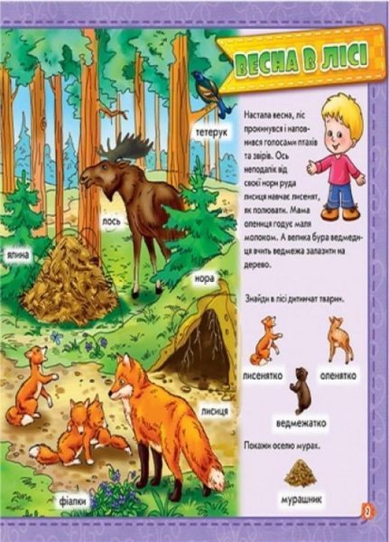 Мій перший словничок з віконцями : У лісі. А116019У 9789667474836 232870 фото