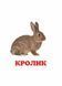 Книжка-картонка. Навколишній світ для найменших. Свійські тварини 9786177166299 9786177166299 фото 5