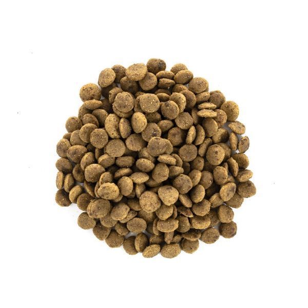Корм сухий Brit Care Cat Grain Free Large Power Vitality для дорослих котів великих порід з качкою та куркою 2 кг 171310/0914 фото